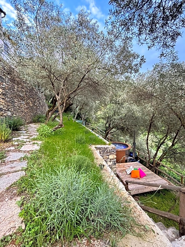 Il Giardino di Fe