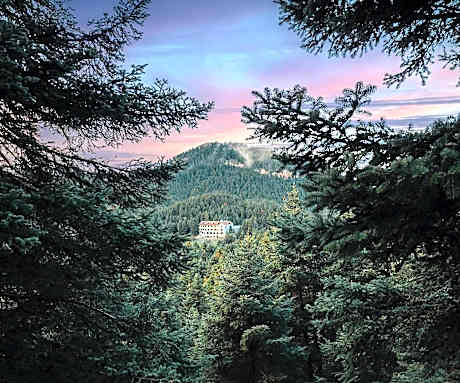 MANNA, a Member of Design Hotels