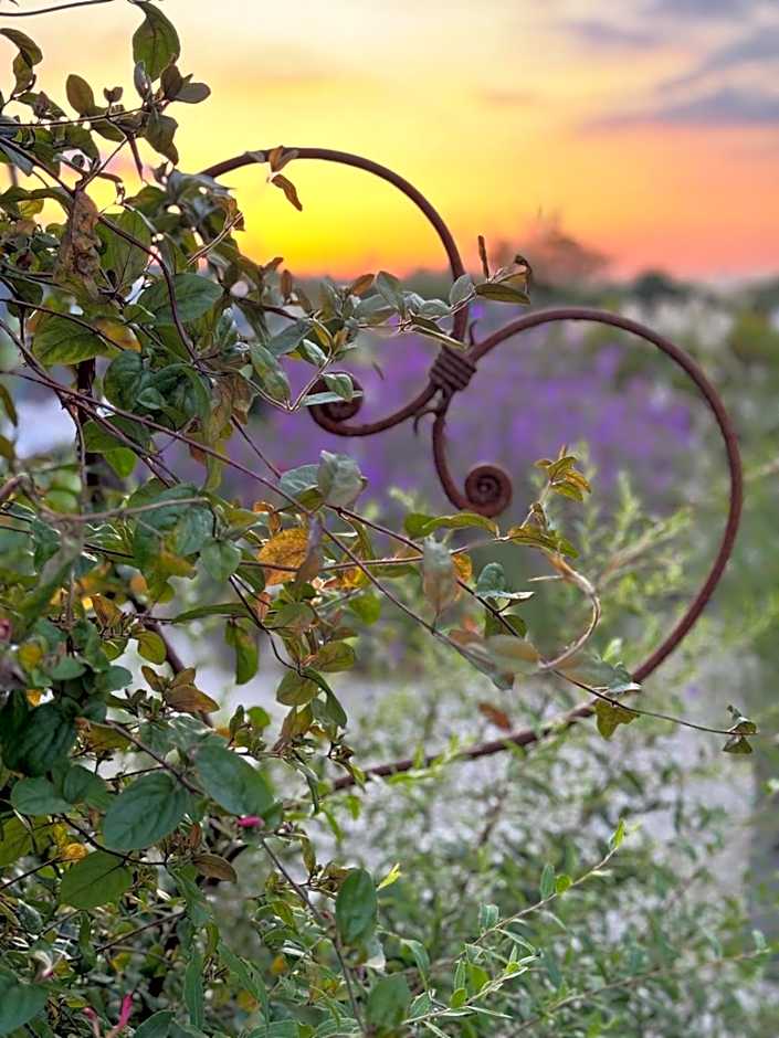 Bybrook Barn Bed & Breakfast