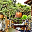 Pink Flamingo Boutique Hotel