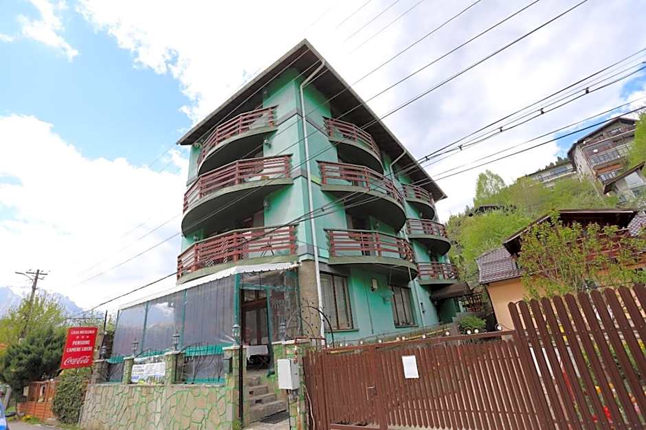 Restaurant Casa Nicolenco Azuga by Genco