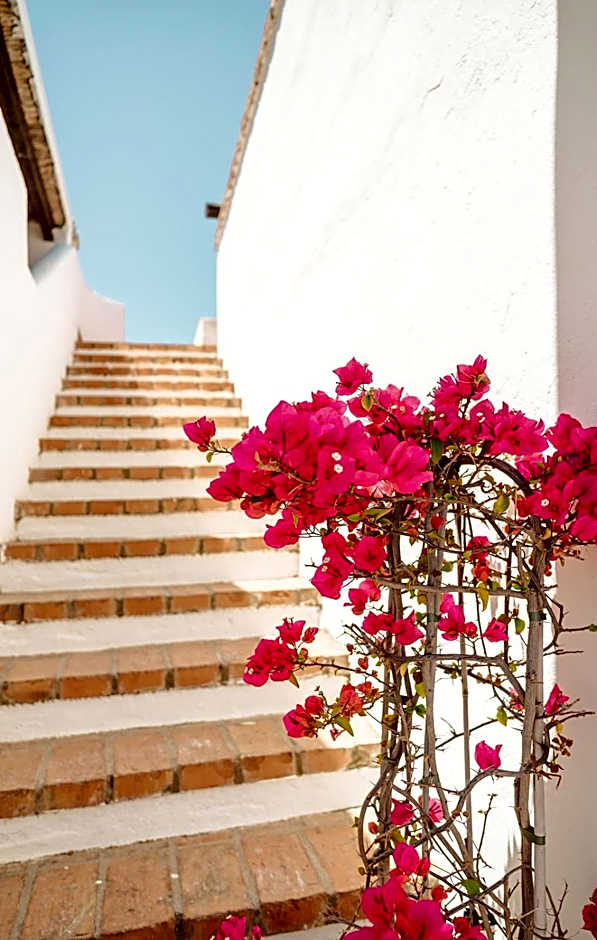 Hotel Rojas
