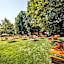 Schlosshotel Monrepos