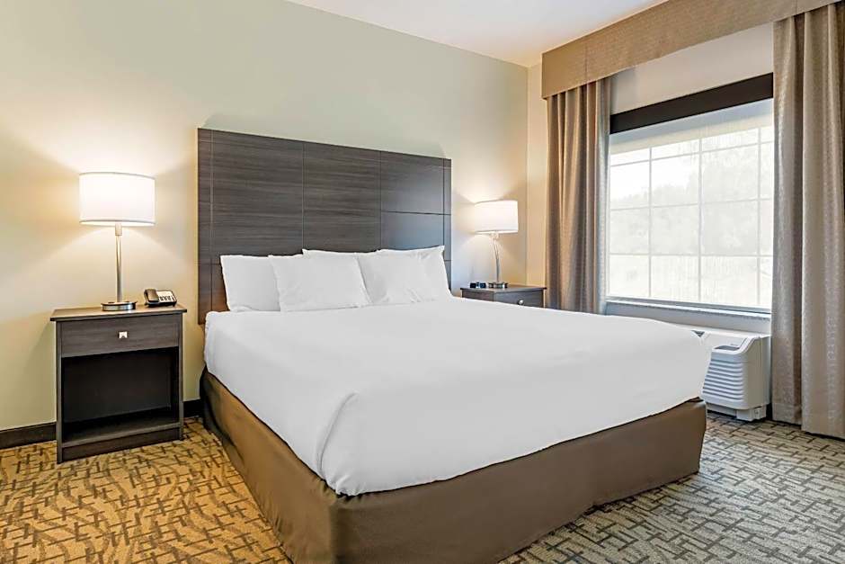 Comfort Inn & Suites Medina NY near Erie Canal