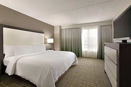2 Room Executive Suite-1 King Bed-Nonsmoking
