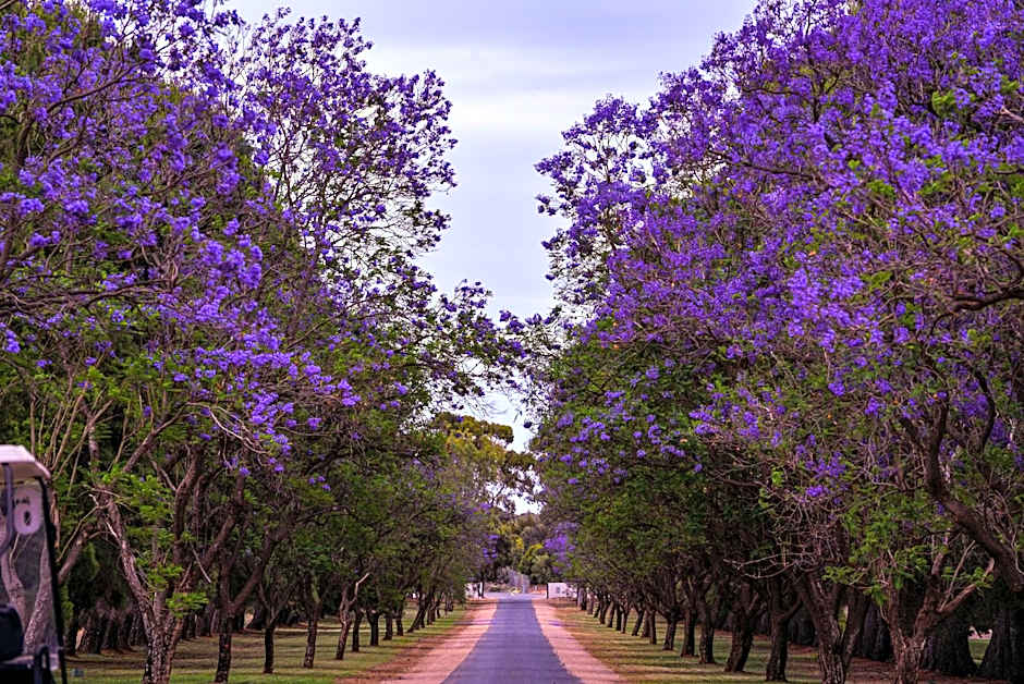 Renmark Country Club