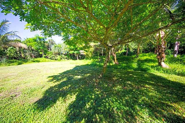 Kirpal Meditation and Ecological Center