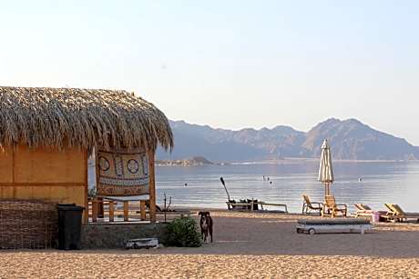 The Bedouin Life with Eid Ali