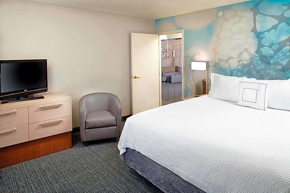 Photo 1 of 2 of 1 Bedroom 1 King Bed with Sofabed Suite