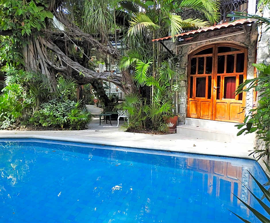 Eco-hotel El Rey del Caribe