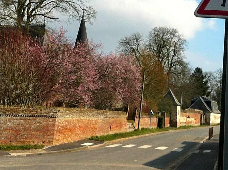 Château des marronniers