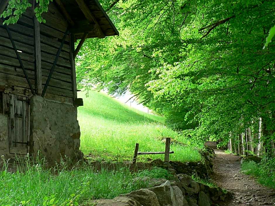 B3 Boutique-Bed&Breakfast