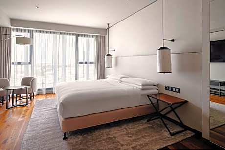 Presidential Suite, 1 King