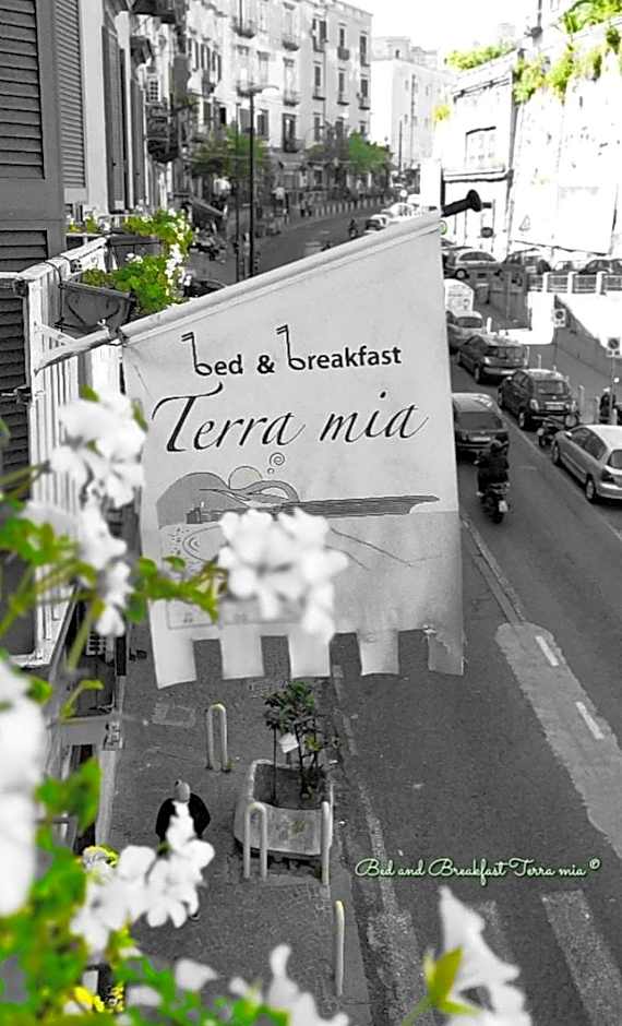 B&B Terra Mia Napoli