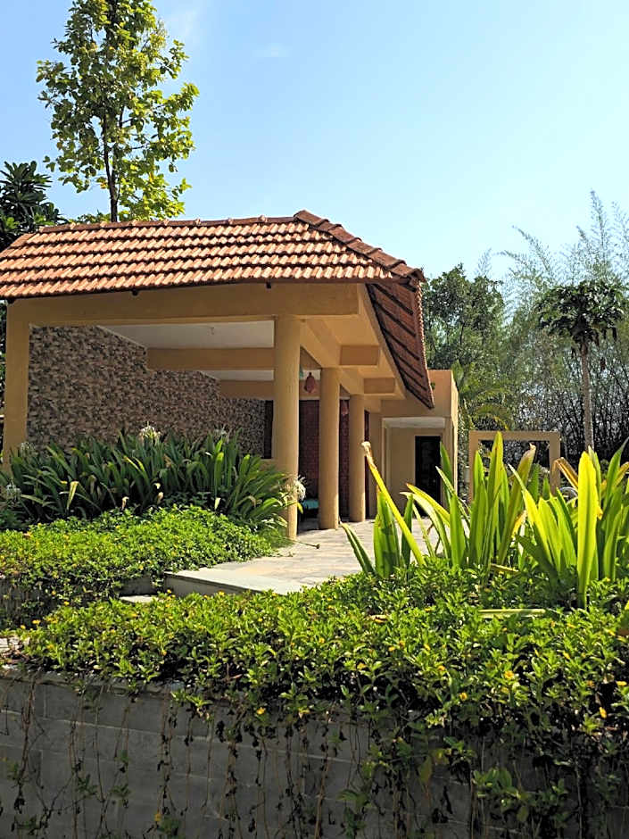 The Celebration Van Vilas