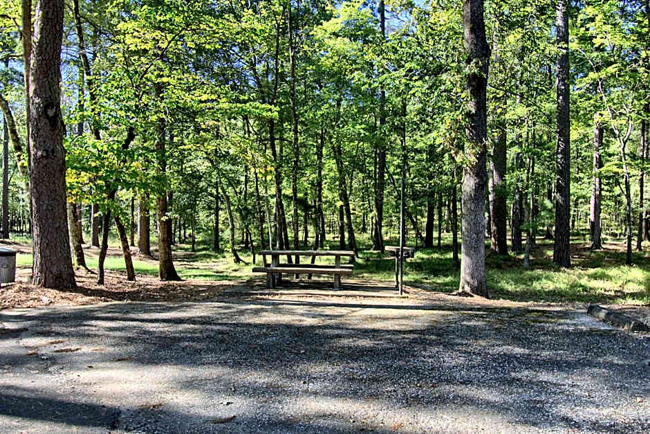 The Americana - Parker Creek Bend Cabins