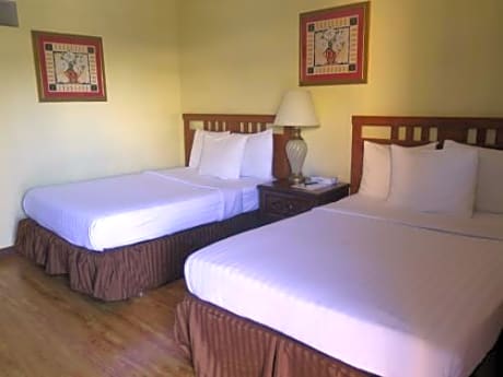 Double Room with Two Double Beds