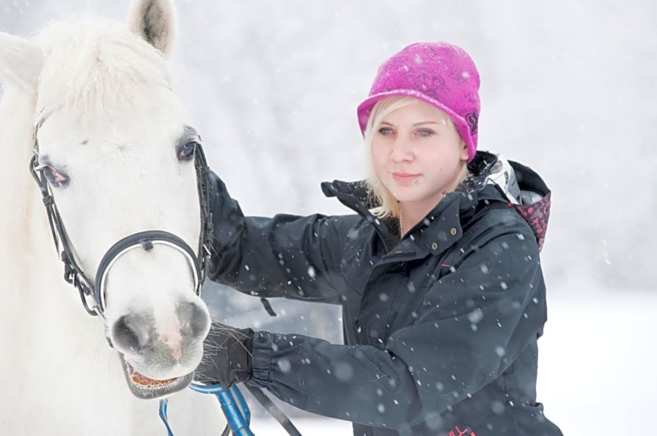 Vordersattlegghofhütte