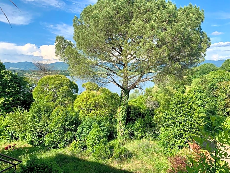 Villa del lago