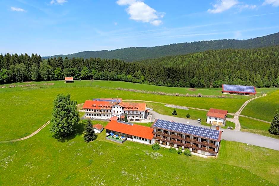 Osserhotel - B&B am Osser