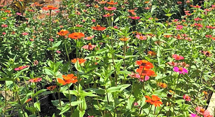 Vangvieng Dokchampa Resort