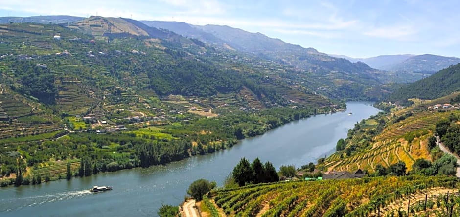 One Shot Aliados Goldsmith