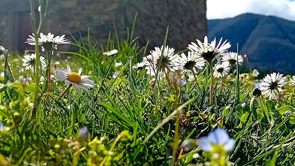 Residence Giardino