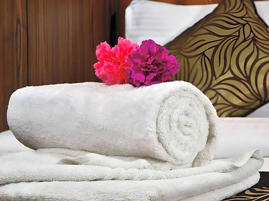 HOTEL DELHI 55 @ NEW DELHI RAILWAY STATION                                                      