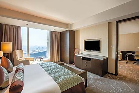 1 Bedroom Suite City View