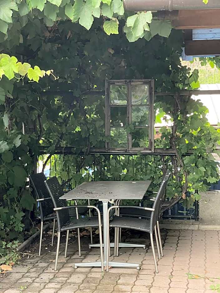 VISPERBLICK 24-7 Parkplatz und Frühstück inkl