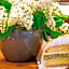 SCHLOSS RANZOW - kleines Romantik Hotel - Wellness - Golfplatz - Hochzeiten & Feiern