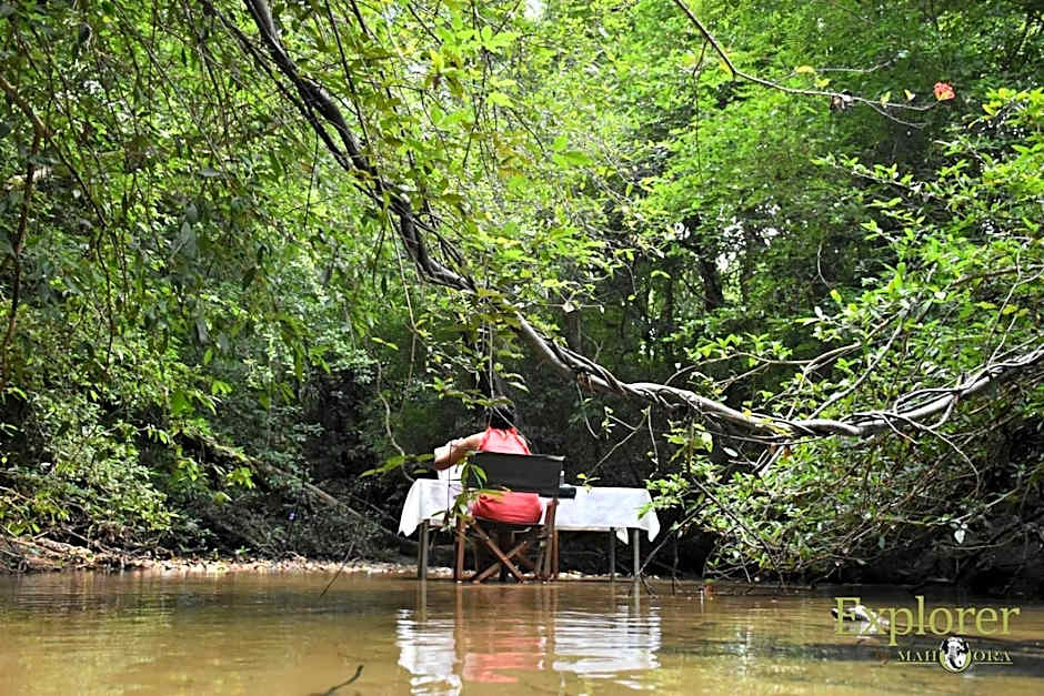 Explorer by Mahoora - Wasgamuwa