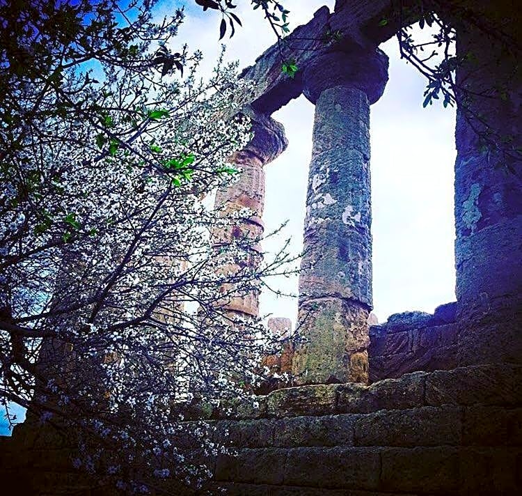 Bed and breakfast MieleZenzero