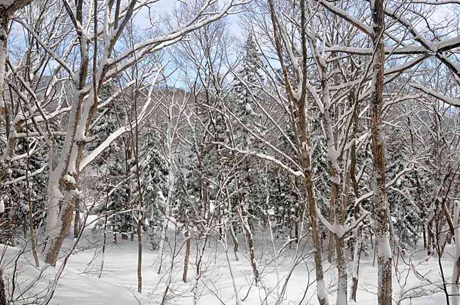 Hakuba Hotel Paipu no Kemuri