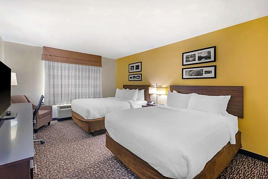 Photo 1 of 7 of 2 Queen Beds