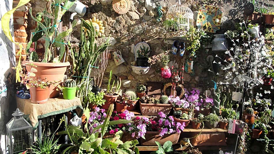 The Tower Of The Old King