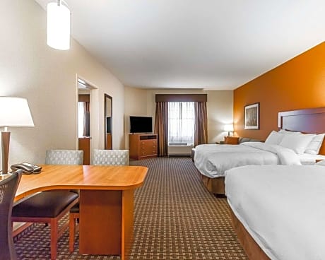 1 King Bed 2 Queen Beds Efficiency Suite Nonsmoking