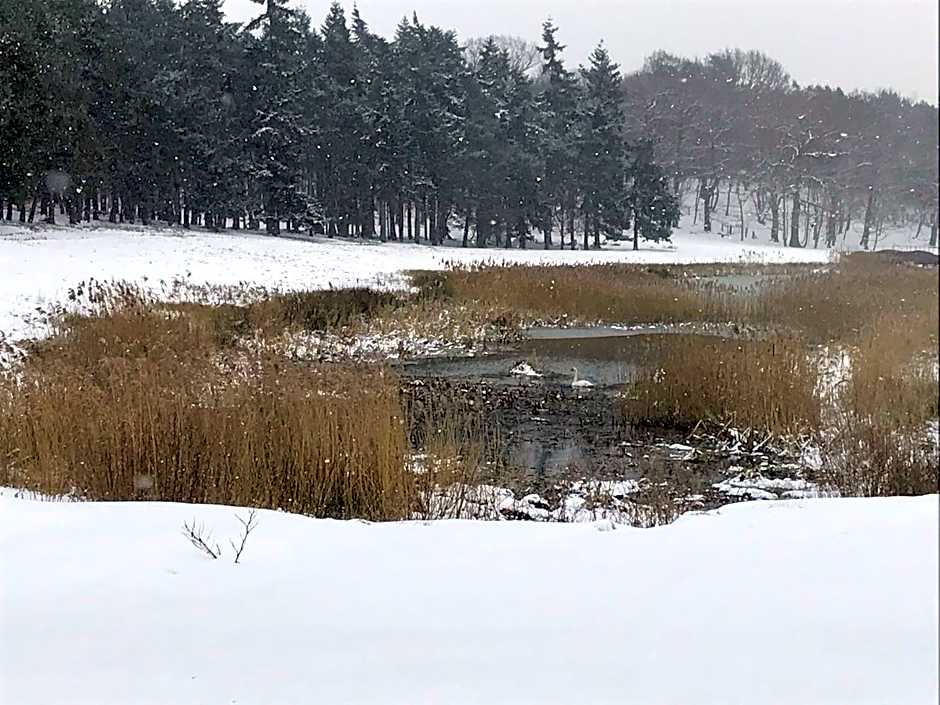 The Stables at Henham Park
