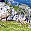 Village De Vacances Les Flocons Verts
