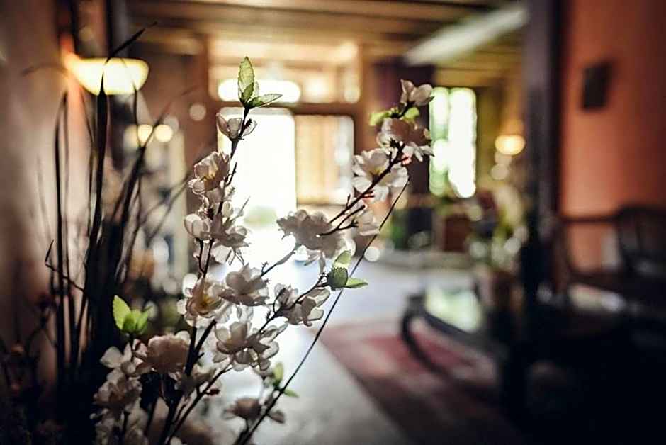 El Señorio De La Serrezuela