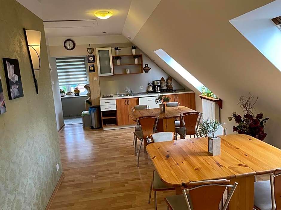 Villa Regina - Spokojna okolica - 100 metrów od lasu - blisko szpitala