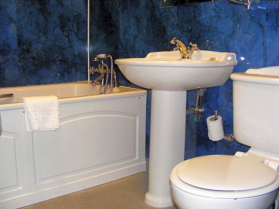 The Dog and Partridge