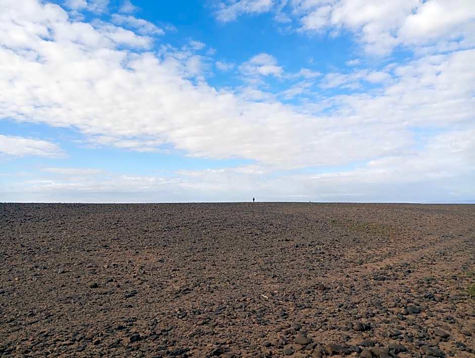Bivouac beauté du désert