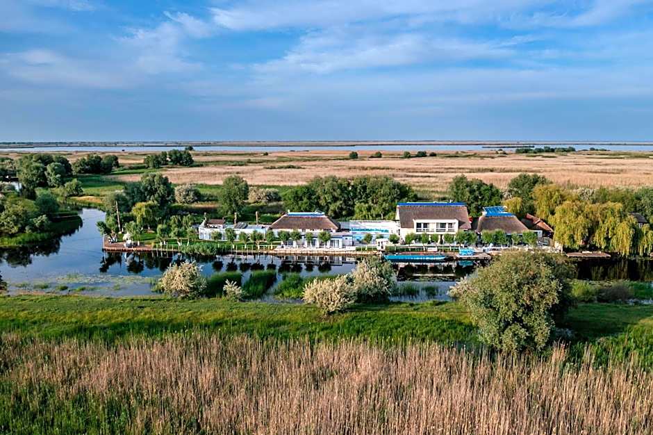 WPO - WILD PIKE OASIS