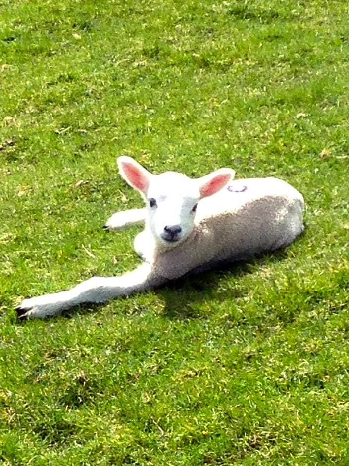 Rebels Hide -Self check in rooms