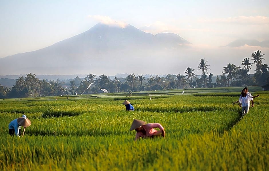 Soori Bali