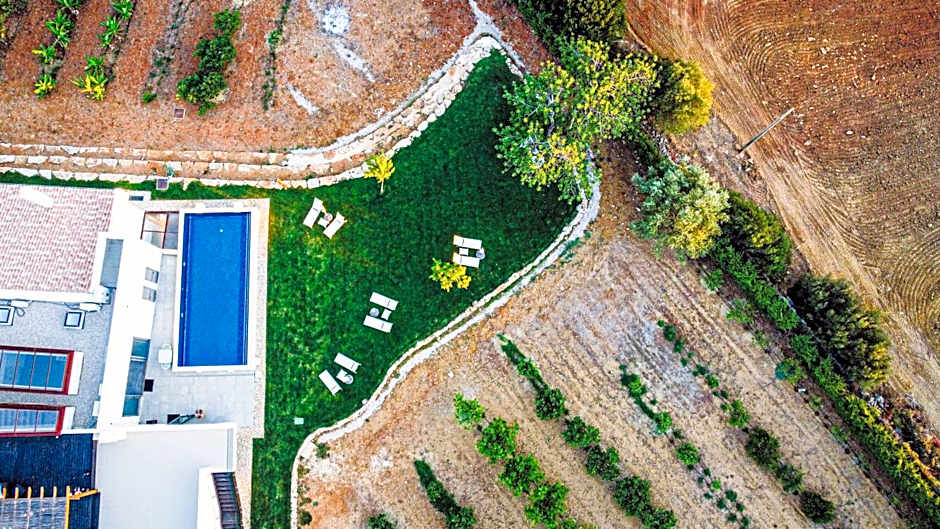 Mercedes Country House