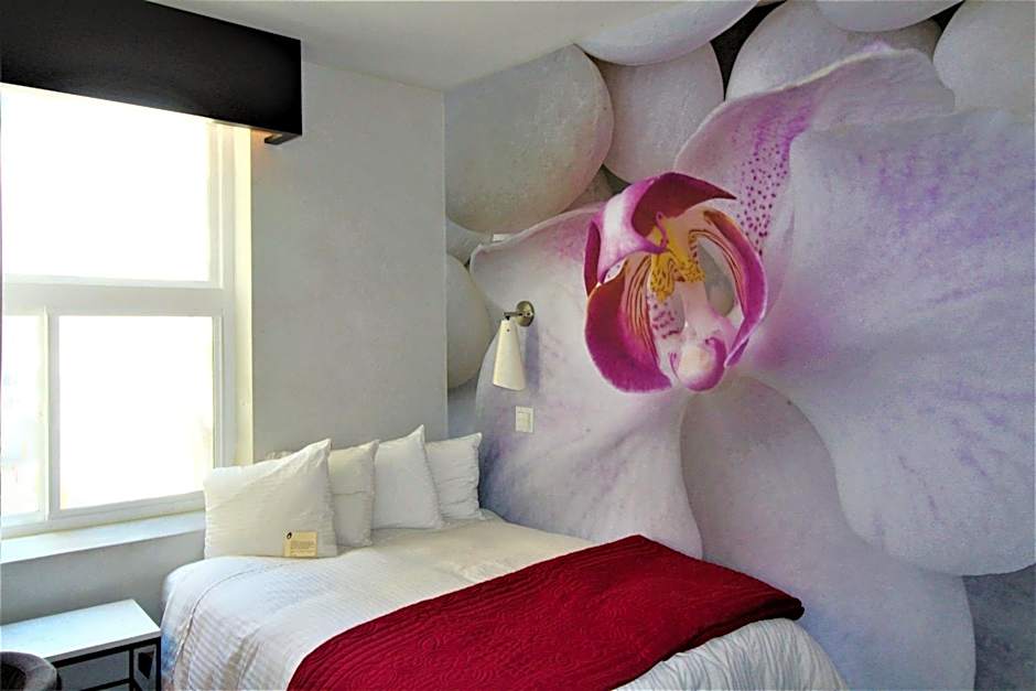 The O Hotel, Trademark Collection by Wyndham