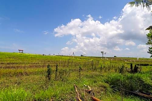 Mahamustika River Side Canggu