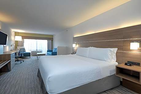 1 King Bed Suite Addl Living Area